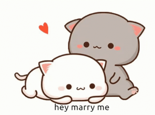 Peach And Goma Marry Me GIF