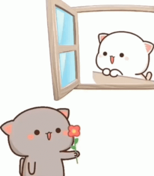 Peach And Goma Peeking In Window GIF