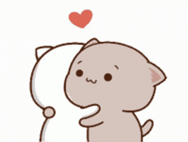 Peach Cat Animated Abrazo  GIF