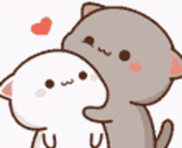 Peach CAt Animation Sweet Side Abrazo  GIF