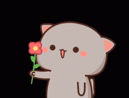 Peach Cat Holding A Flores GIF