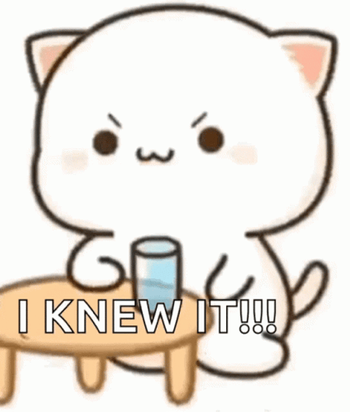 Peach Cat I Knew It GIF