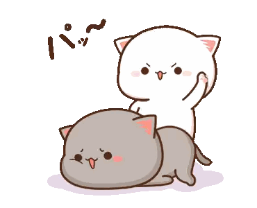 Peach Cat Sticker
