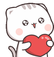 Peach Cat Sticker GIF