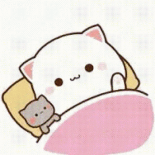 Peach Cat Wave Good Night Love Sticker GIF