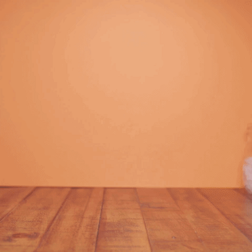 Peach Cocktail Mixology Time Lapse GIF