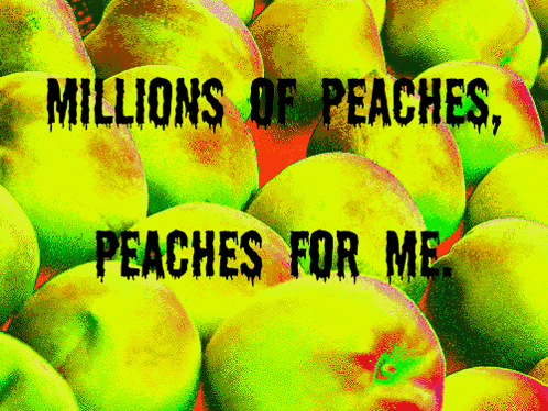 Peaches Saying Millions of Peaches Peaches for Me