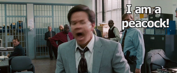Peacock Angry Mark Wahlberg GIF