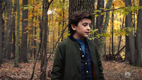 Peacock Boy Forest Manifest GIF
