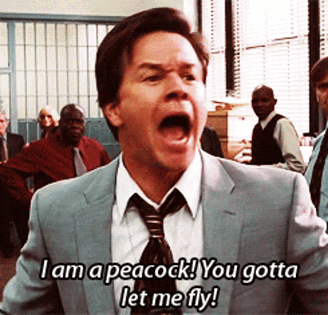 Peacock Let Me Fly Gif GIF