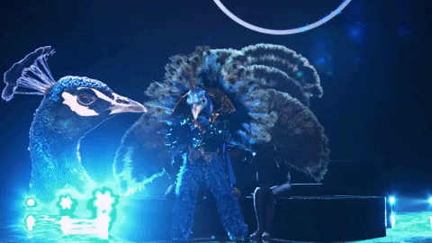 Peacock Performance Masked Singer GIF