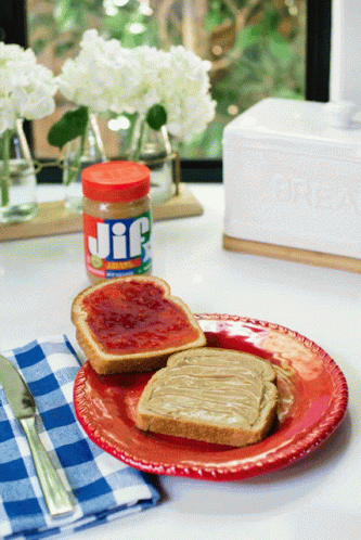 Peanut Butter And Jelly Made From Usa GIF