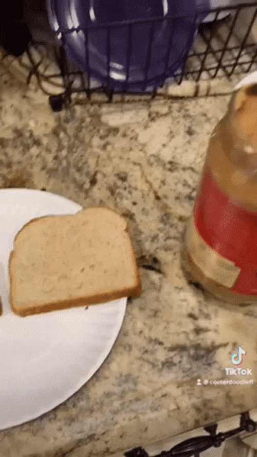 Peanut Butter Jelly Time Hand Made Meme GIF