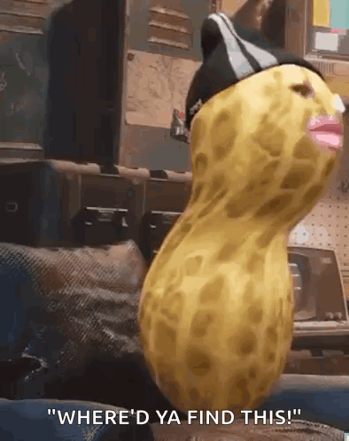 Peanut With Hat Being Held GIF