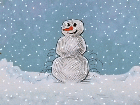 Peanuts Merry Christmas Charlie Brown And Pig Pen GIF