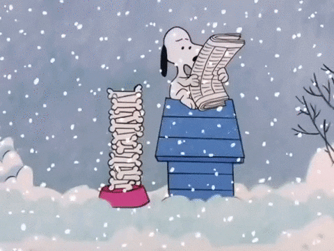 Peanuts Merry Christmas Charlie Brown Looking At Snoopy GIF