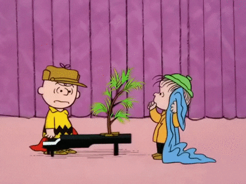 Peanuts Merry Christmas Charlie Brown Talking To Linus GIF