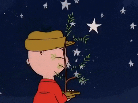 Peanuts Merry Christmas Charlie Looking At Sparkling Star GIF