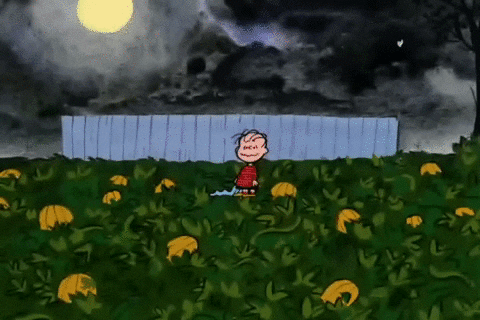 Peanuts Scene Charlie Brown Looking For His Pumpkin GIF
