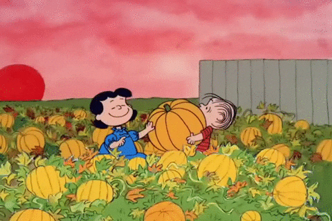 Peanuts Scene Lucy Van Pelt And Charlie Harvest Pumpkin GIF