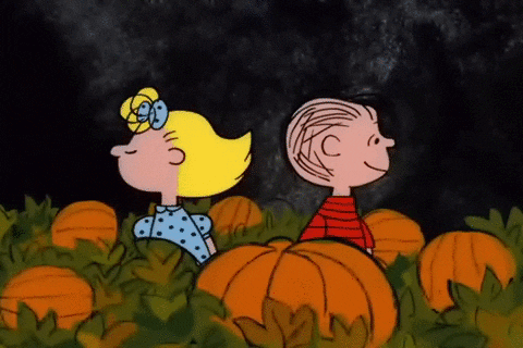 Peanuts Scene Sally Brown And Charlie Brown Fighting GIF