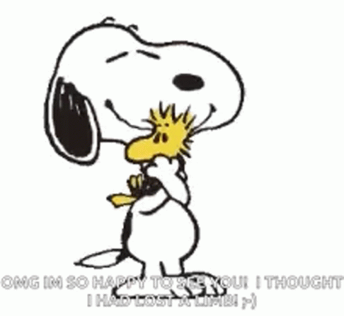 Peanuts Snoopy Hugging Woodstock GIF