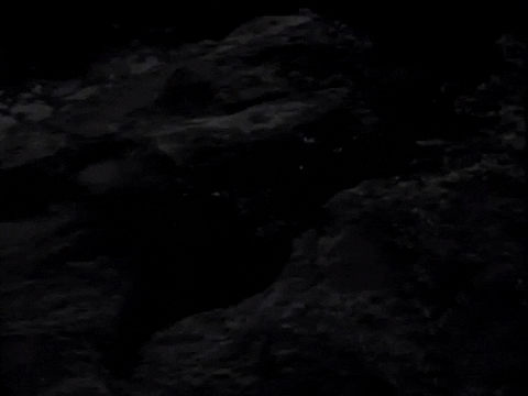 Pearl Jam Members Black And White Shot GIF