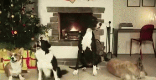 Pedigree Jingle Bells Dog Barking GIF