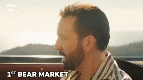 Pedro Pascal Nicolas Cage Bear Market GIF