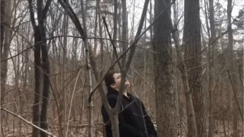 Pee In The Forest Woods GIF