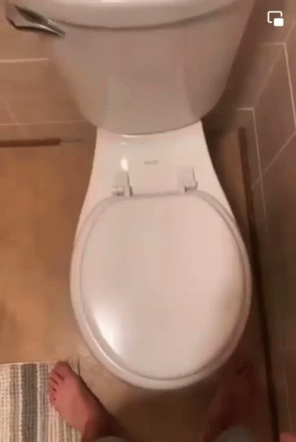 Pee On Toilet Wife Wants To Watch GIF