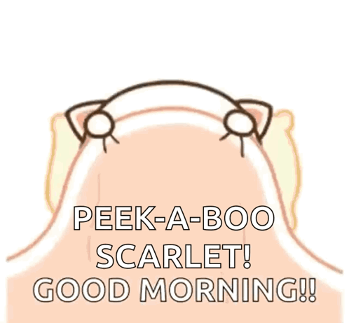 Peek-a-Boo Scarlet Cat Good Morning