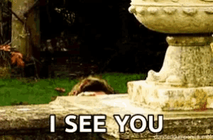 Peeking Drwho Gif GIF