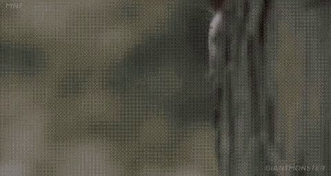 Peeping Tom Arnold Schwarzenegger Sneaking Behind Tree GIF
