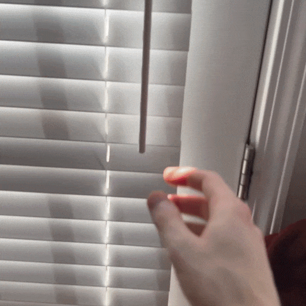 Peeping Tom Benjamin Caught Red Handed GIF