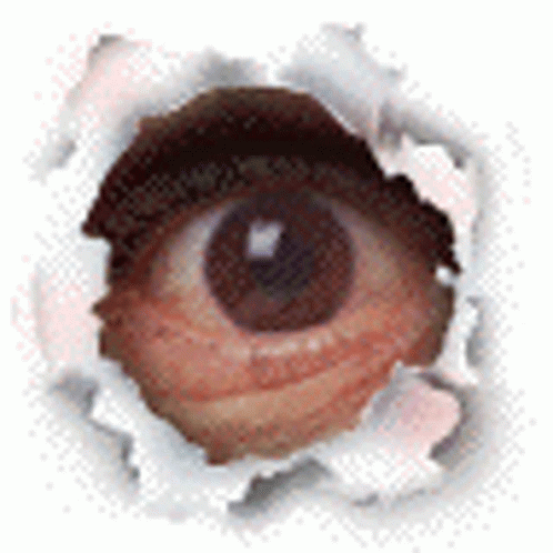 Peeping Tom Blinking Eyes Close Up GIF