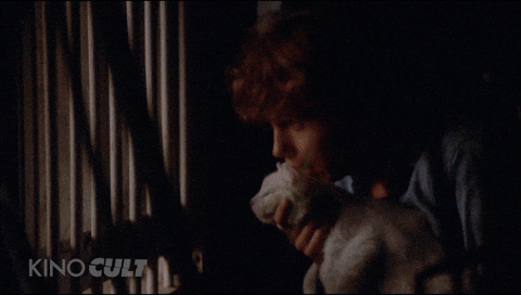 Peeping Tom Mischievous Boy Sneaking GIF