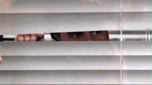 Peeping Tom Sneking Behind Blinds GIF