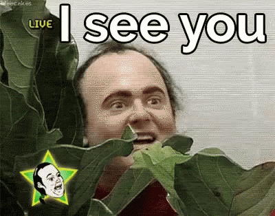 Peeping Tom Stalker Sneaking I See You GIF