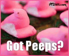 Peeps 264 X 216 Gif GIF