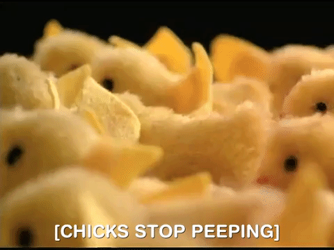 Peeps Chicks Stop Peeping GIF