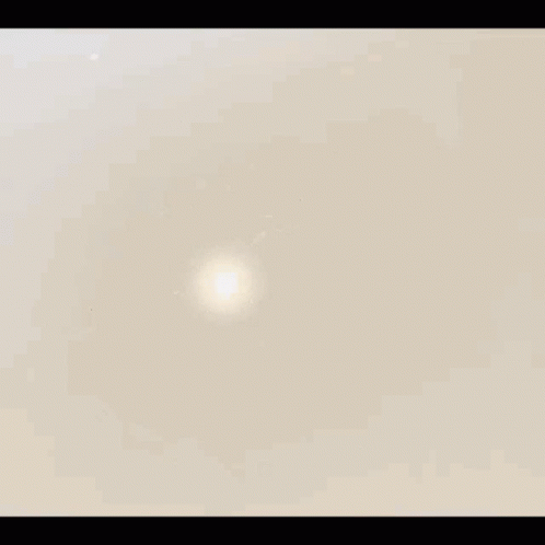 Peeps Marshmallow Bunnies GIF