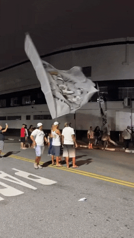 Pele Fans Unite With Flags In Hand GIF