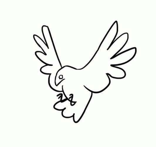 Pencil Drawing Bird Flying GIF