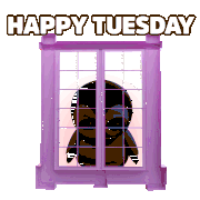 Pengu Tuesday Sticker GIF