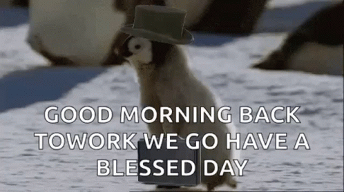Penguin Back To Work Monday GIF