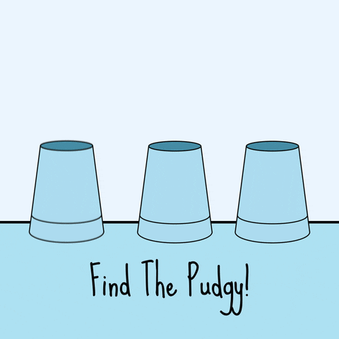 Penguin Balancing Cup on Head Find the Puggy