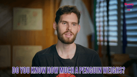 Penguin Being An Icebreaker GIF
