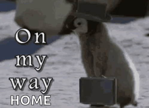 Penguin Carrying Briefcase and Wearing Top Hat