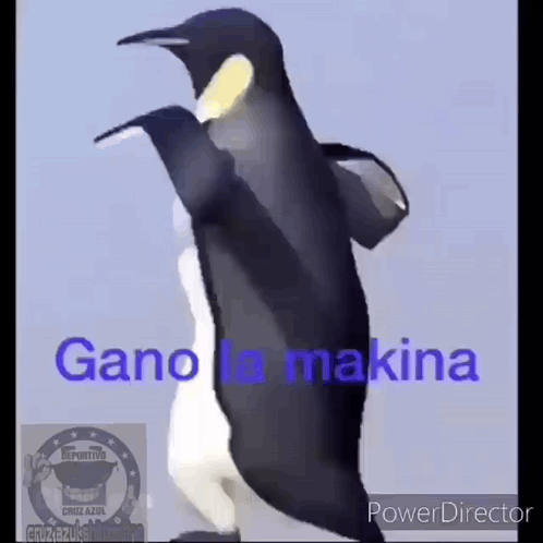 Penguin Dancing Gano La Makina